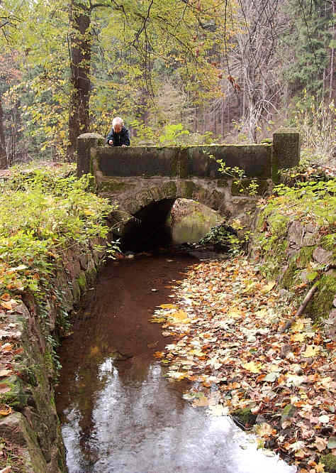 Zurck zur Wanderung