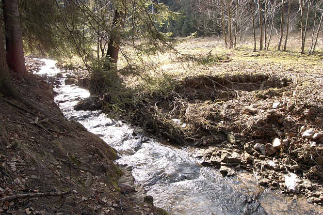 Zurck zurWanderung