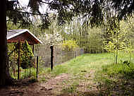 Bienenhaus am Wald
