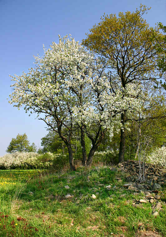 Zurck zur Wanderung